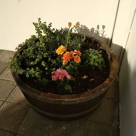 Spyros Appartement *