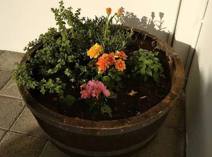 Spyros Apartamento *