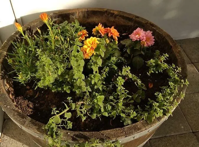 Spyros Apartamento *